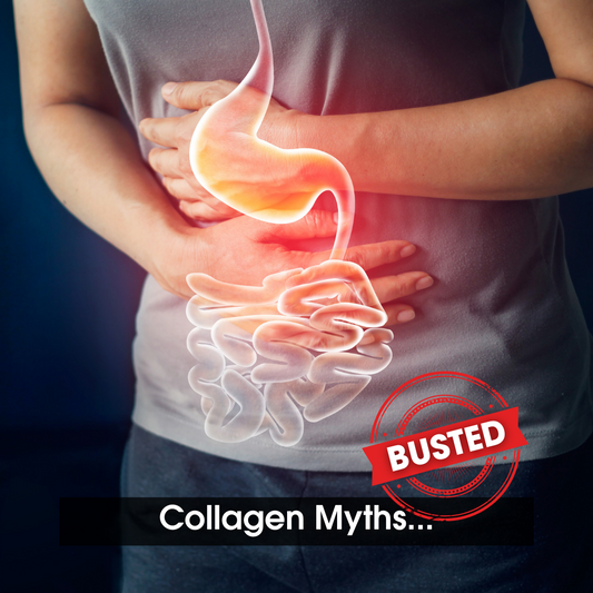 U Perform collagen sports nutrition supplements collagen peptides science gut health digestion