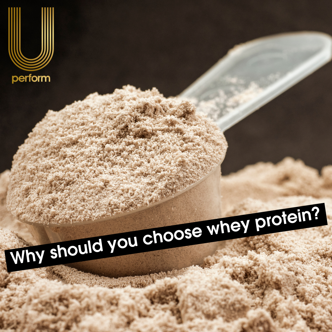 Why you should use whey protein U Perform Blog post