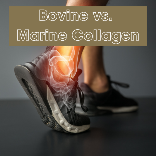 U Perform Bovine Collagen vs Marine Collagen supplement guide blog post