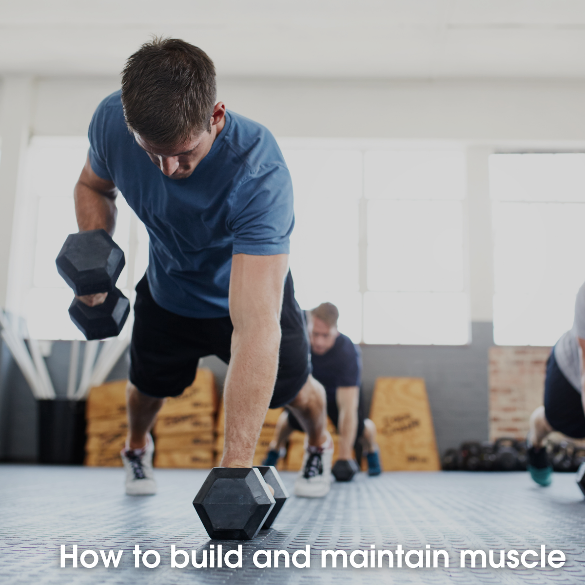 Maintaining Muscle How to build and maintain muscle | U Perform | Blog post
