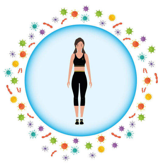 How can exercise affect the immune system?