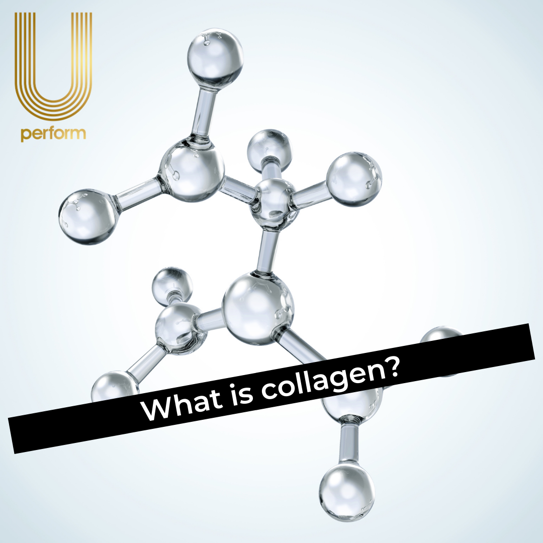 U Perform What is Collagen?