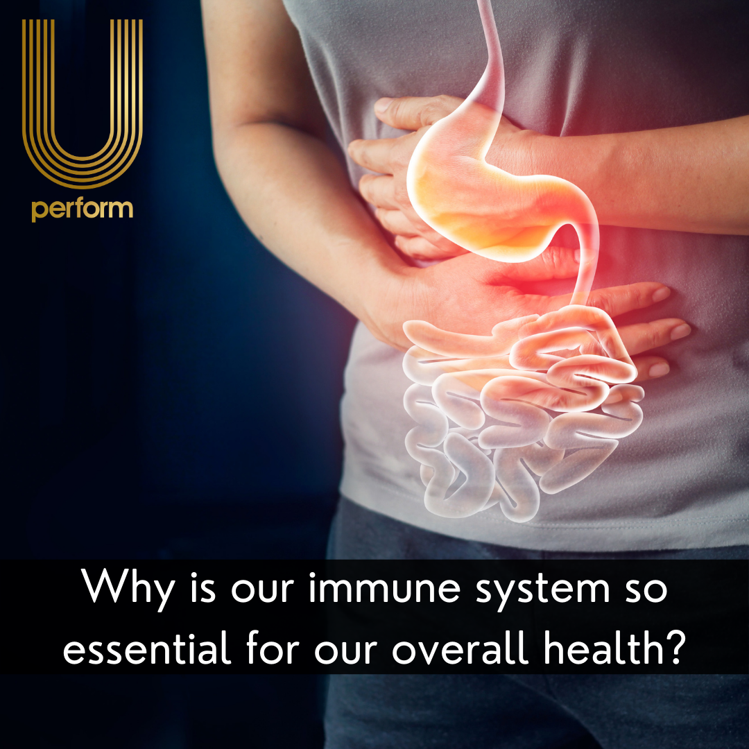 Why is our immune system so essential for our overall health?