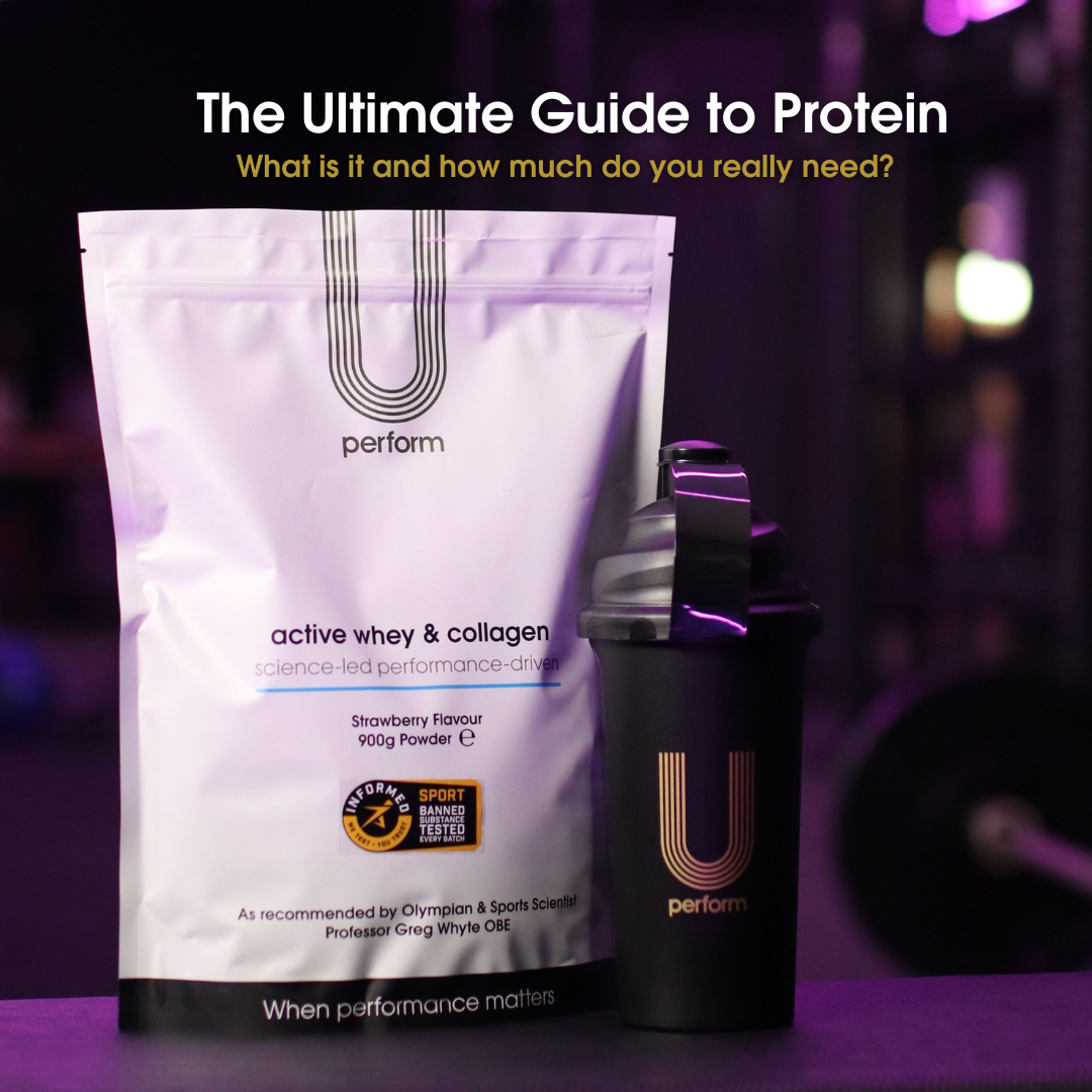 Performa Protein Your Complete Protein Guide | U Perform | Blog post