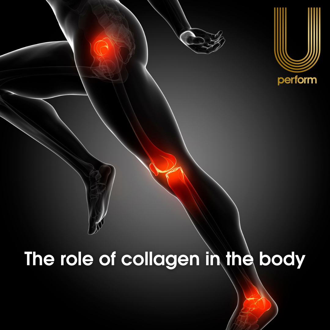 Role Collagen The role of collagen in the body | U Perform | Blog post