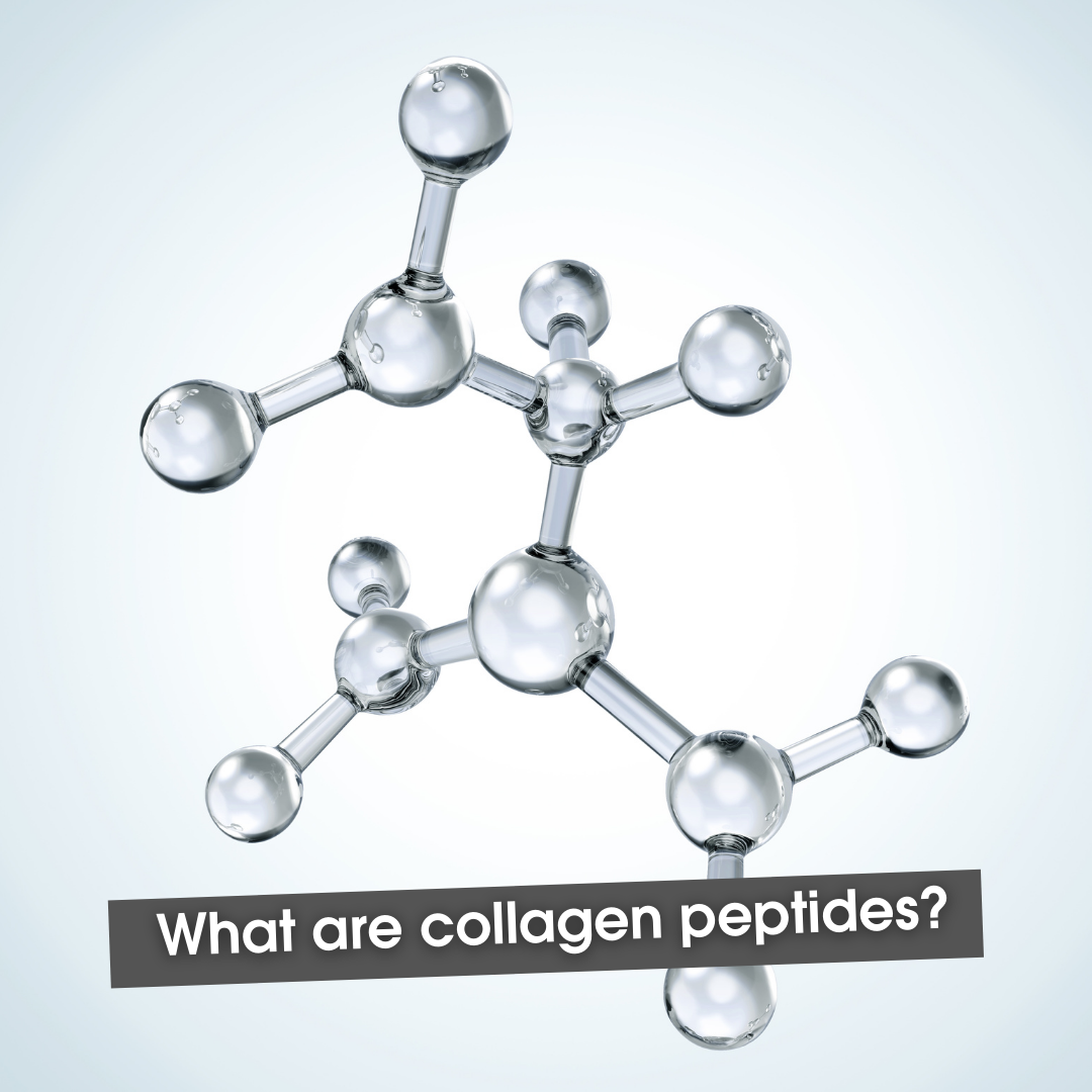 U Perform bioactive collagen peptides collagen supplements
